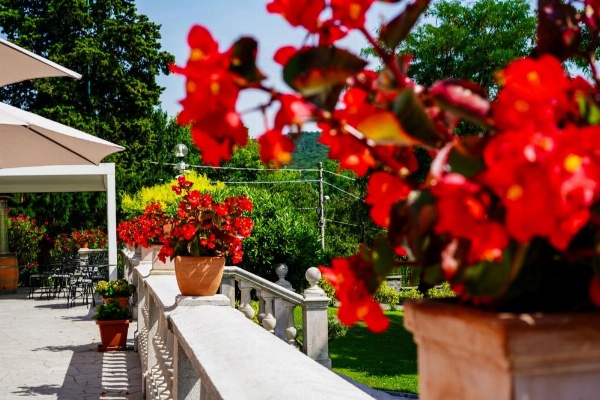 Villa Bottacin image 8